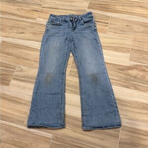 American Eagle Outfitters Ne(x)t Level Artist Flare Jeans